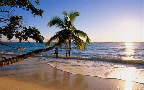 Tropical Island, beaches, island, sunset, tropical 129772