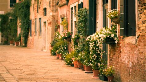 Wallpaper : flowers, garden, street, Italy, plants, Venice, road, house, green, town, autumn ...