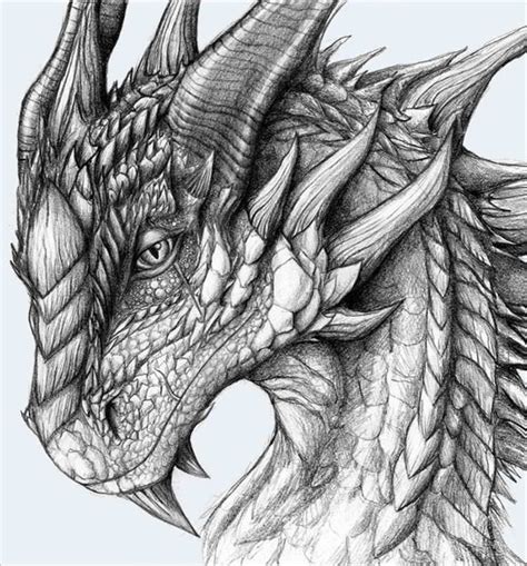 Image result for mythical dragons drawings | Disegni drago, Schizzi d ...