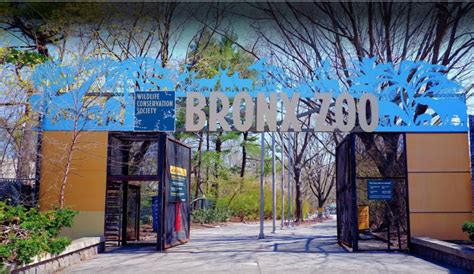 Parking Near The Bronx Zoo- The 2024 Ultimate Guide