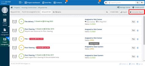 Generate a Punch Report : SKYSITE