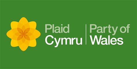 General Election 2019: Susan Hills – Plaid Cymru | Deeside.com