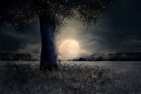 Night Landscape Free Stock Photo - Public Domain Pictures