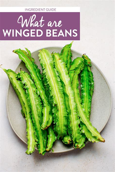 What are Winged Beans - Full of Plants