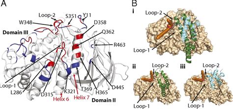 Mechanism Of Glucocerebrosidase Activation And Dysfunction, 55% OFF