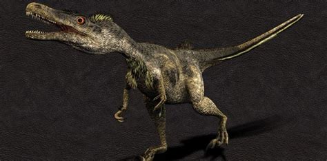 13 Valiant Facts About Velociraptors | The Fact Site