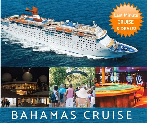 Bahamas Cruises & Deals | Harmony Beaches | Bahamas cruise, Cruise deals, Cruise