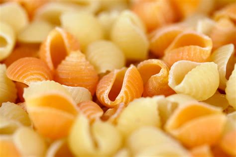 Free photo: Conchiglie Pasta - Backdrop, Shells, Nutritious - Free ...