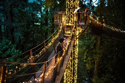 Treetops Adventure & Cliffwalk - Capilano Suspension Bridge (North ...