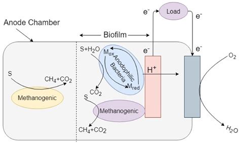 Tool Parts Tools Hydrogen Fuel Cell Microbial Fuel Small Electrolysis Cell Double-chamber ...