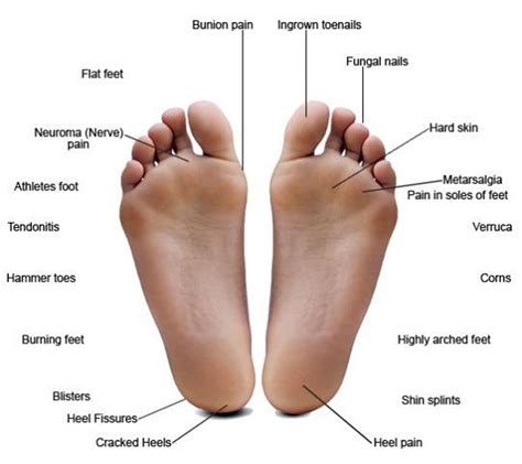 Diabetics: Take Care of Your Feet | Foot Therapy