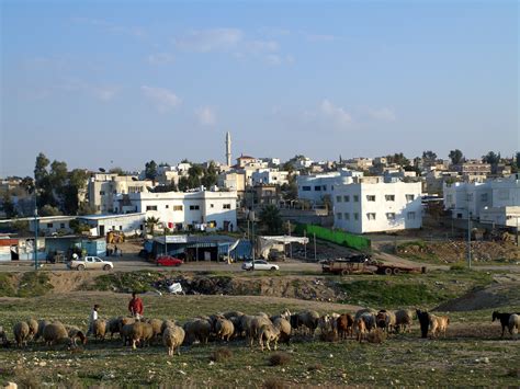 File:Rahat largest Bedouin city in Israel.jpg - Wikipedia