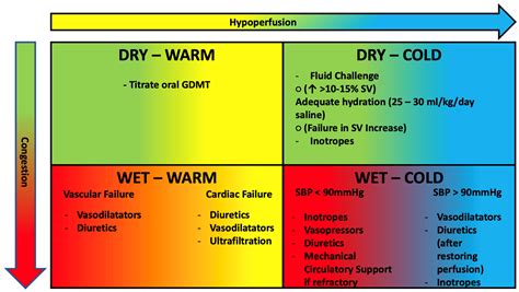 Clinics and Practice | Free Full-Text | Pathophysiology-Based Management of Acute Heart Failure