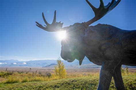 Finding conservation inspiration at Wyoming’s National Museum of ...