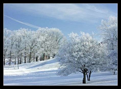 Winter wonderland in Ann Arbor, Michigan | Taken on Dec. 28,… | Flickr