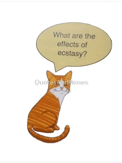 "High cat meme " Poster for Sale by QuotesAndMemes | Redbubble