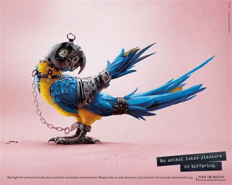 Bold Anti-Animal Cruelty Campaign Uses Provocative Images to Convey Their Advocacy| UK Pets