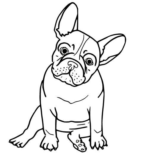 Bulldog Coloring Pages Printable for Free Download