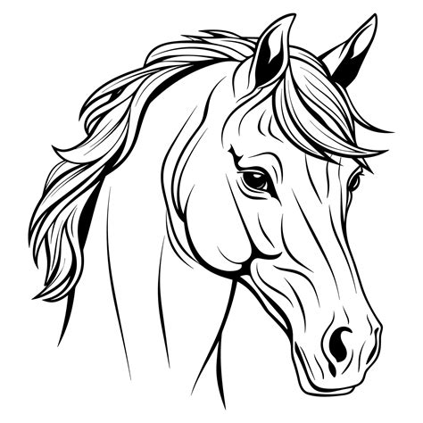 Horse head coloring page 28839694 Vector Art at Vecteezy