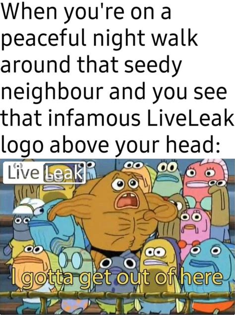 Crispy Meme #857 | /r/dankmemes | LiveLeak Logo Appears | Know Your Meme