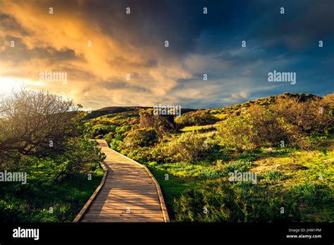 Hallett Cove conservation park boardwalk at sunset, South Australia Stock Photo - Alamy