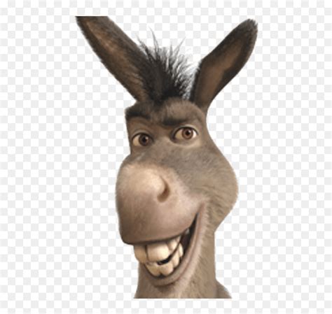 Shrek Head Png - Donkey From Shrek Smiling, Transparent Png - vhv