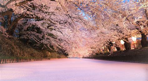 Why Aomori is Japan's best year-round destination | Rough Guides