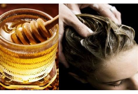 Honey Based Treatments for Dry Hair | Top Natural Remedies