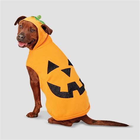 Pumpkin Halloween Dog Hoodie | Best Dog Costumes for Large, Medium and ...