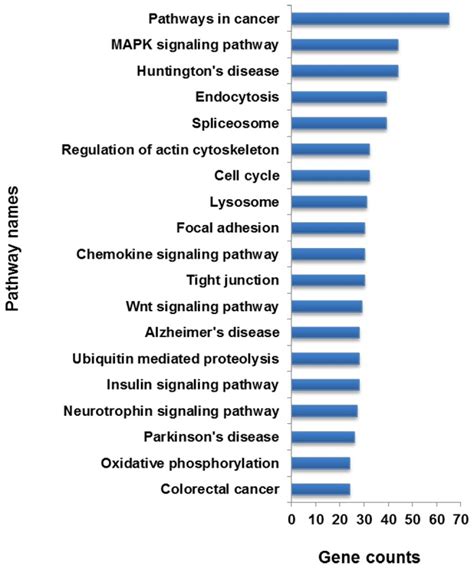 The column indicates the unique gene number. | Download Scientific Diagram