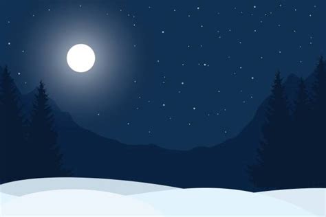 Best Winter Night Illustrations, Royalty-Free Vector Graphics & Clip Art - iStock
