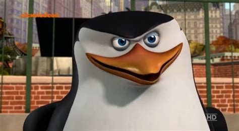 Skipper - Skipper: The penguins of madagascar Photo (34465637) - Fanpop