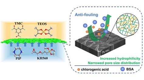 Nanofiltration Membranes Improved by Regulating Pore Size Distributions ...