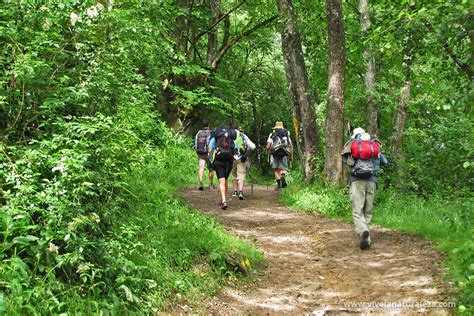 Senderismo: orígenes, característcas, tipos - Vive la Naturaleza