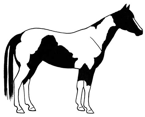 Horses Clipart - Cliparts.co