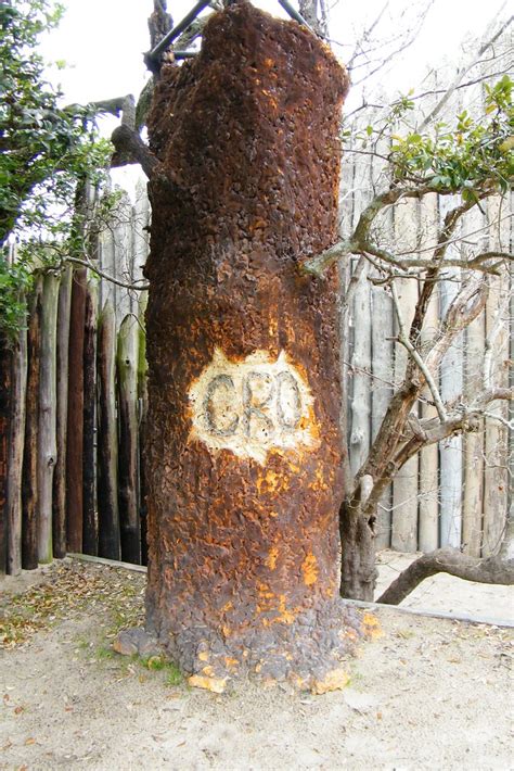CRO | The "CRO" tree at the Lost Colony theater at Fort Rale… | Flickr