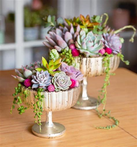 Creative Succulent Arrangements Ideas and Display Tips - Mycozylive.com