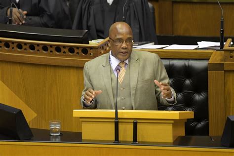 Motsoaledi says SA passport has become 'a laughing stock'