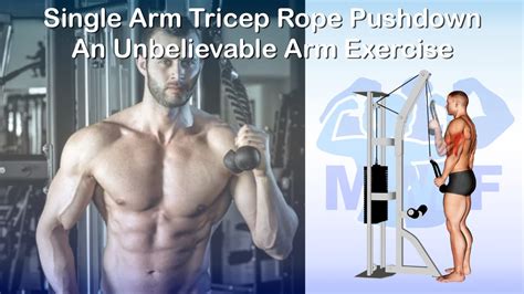 Single Arm Tricep Rope Pushdown: An Unbelievable Arm Exercise