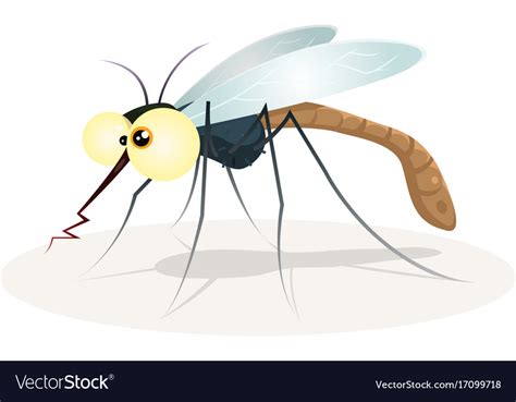 Mosquito character Royalty Free Vector Image - VectorStock