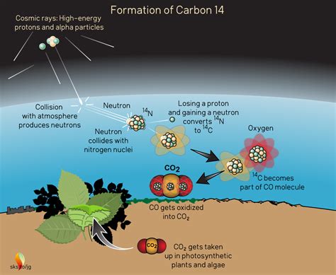 Carbon 14 origin