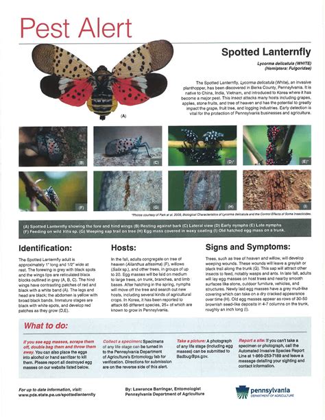 Montgomery County Conservation District: Spotted Lanternfly Control