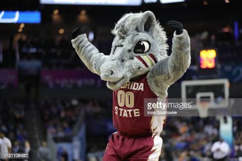 Fsu Mascot Photos and Premium High Res Pictures - Getty Images