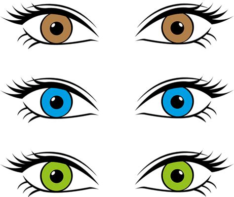 Ojos Color De Los Iris · Gráficos vectoriales gratis en Pixabay