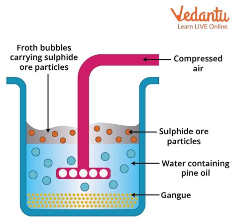 Froth Flotation Principle and Process Important Concepts and Tips for JEE