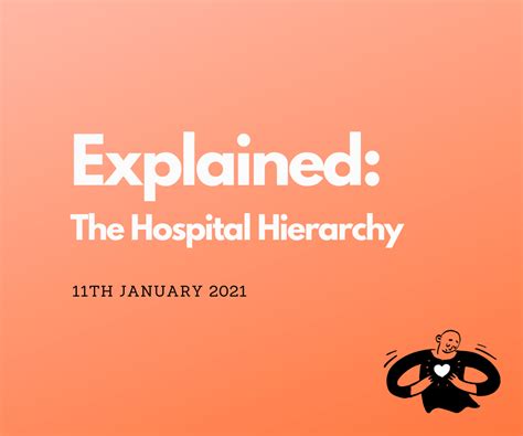 The Hospital Hierarchy Explained | Doctor Nisha