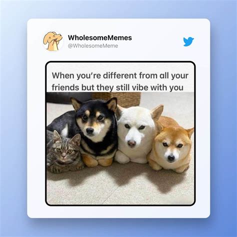 33 Wholesome Memes To Absolutely Make Your Day