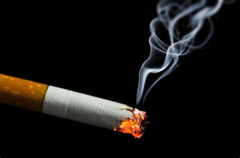 New Study Looks at Encoding the Odor of Cigarette Smoke | UKNow