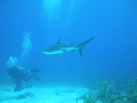 Exumas, Bahamas, Snorkeling Itinerary Aboard Charter Catamaran RUBICON