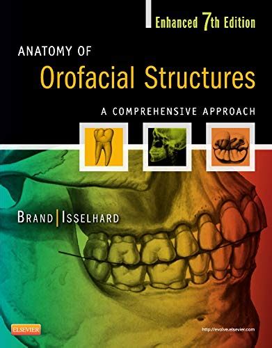 Anatomy of Orofacial Structures - Enhanced Edition: A Comprehensive ...